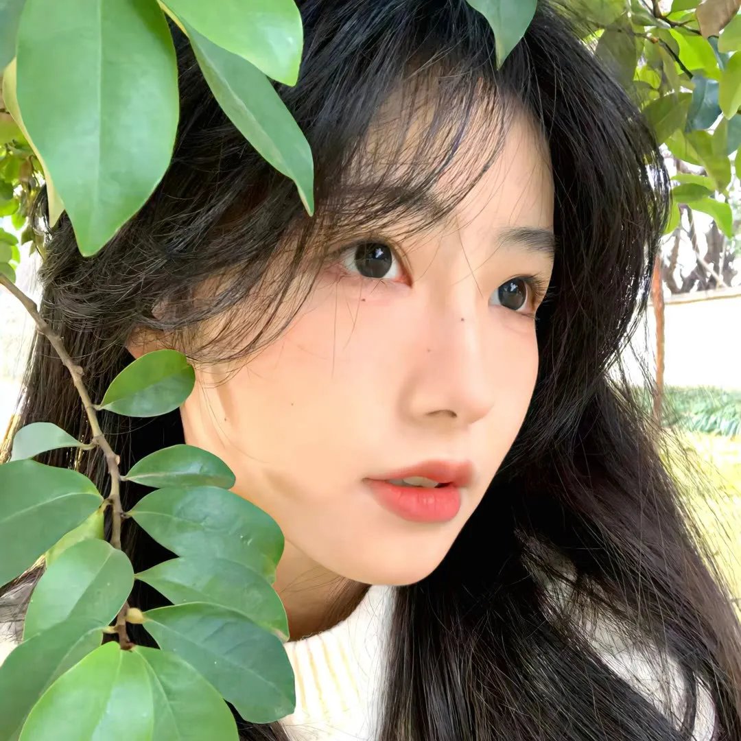 李雷和韩梅梅 封面
