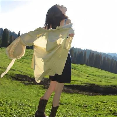 女巡特警之蜂鸟突击队 封面